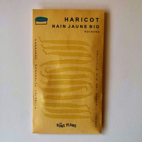 Le ferme Les Bons Plans de Chambord ensache des Semences de haricot nain jaune biologiques de type  Rocburn