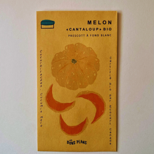 Les semences biologiques de Melon PRESCOTT à fond blanc de la ferme les Bons Plans vous surprendront par leur goût sucré