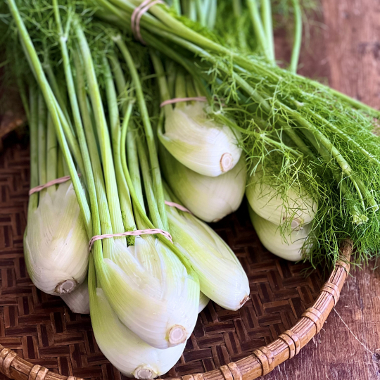 Au restaurant des Jardins de Sophie de St-Fulgence, le chef cuisinier utilise beaucoup le bon fenouil biologique