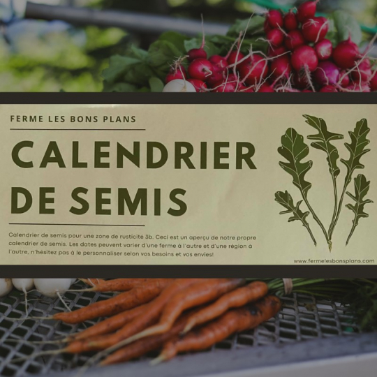 Super beau calendrier de semis, fait sur mesure pour notre région par Charlotte des Bons Plans.