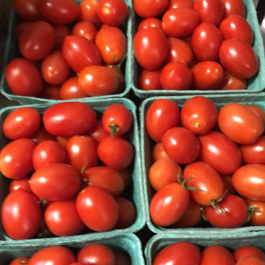 Les tomates italiennes biologiques de Plateforme BioAlimentaire Boréale Solidar à Chicoutimi sont rouges vermeille