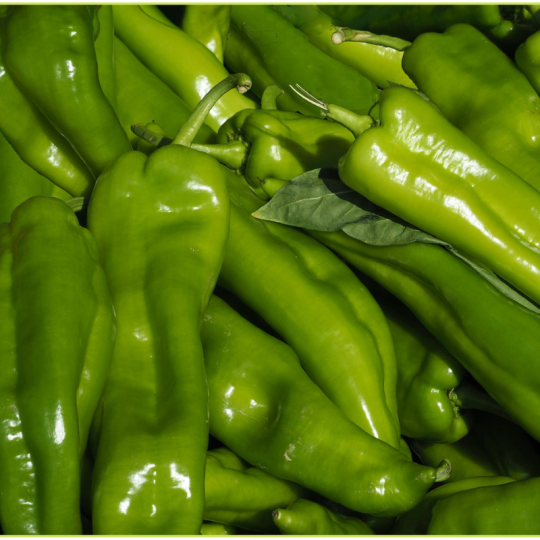 Vous voulez déguster de l'Amour! Les poivrons verts biologiques de À Contre Vent de St-Gédéon sont de l'Amour en saveur