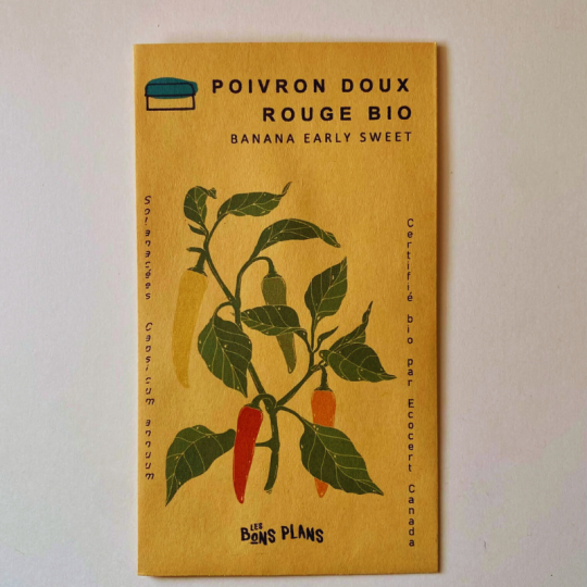 À Chambord, la ferme les Bons Plans préconise de planter leurs semences de poivrons rouges biologiques - Banana Early Sweet au mois de mars