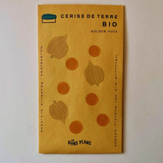 Les semences biologiques de Cerises de terre de type GOLDEN HUSK de la ferme les bons plans sont prêtes quand elles tombent parterre