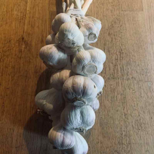 L'ail certifié bio des JArdins chez Bettez a été tressé à la main à la ferme à Hébertville