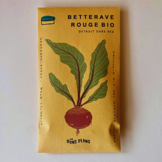Les semences de betterave rouge bio logiques de type Detroit Dark Red de la ferme Les bons plans à Chambord sont sucrées à souhait