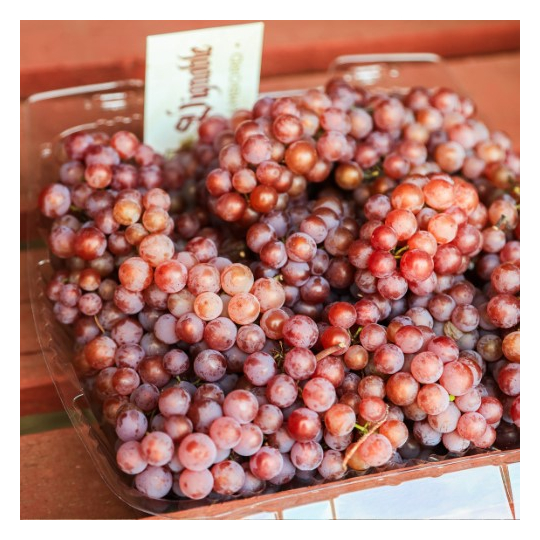 Mmmmmm!!!! Un vrai délice ces raisons Summerset biologiques du Vignoble Joli Chambord