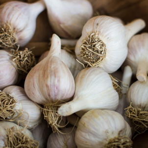 L'ail certifié bio des JArdins chez Bettez a été tressé à la main à la ferme à Hébertville