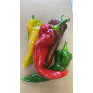 Vous voulez déguster de l'Amour! Les poivrons verts biologiques de À Contre Vent de St-Gédéon sont de l'Amour en saveur