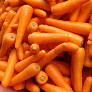 Super belles carottes biologiques produits tout près du Cap au Leste chez le Domaine de la Roche à l'Épervière!