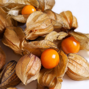 Cerises de terre
