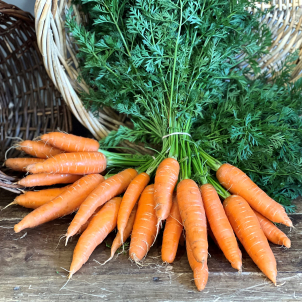 Super belles carottes biologiques produits tout près du Cap au Leste chez le Domaine de la Roche à l'Épervière!